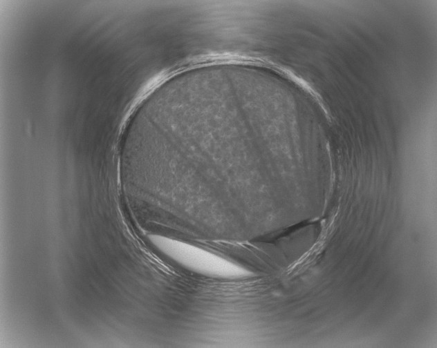 X0000051861365200507221846