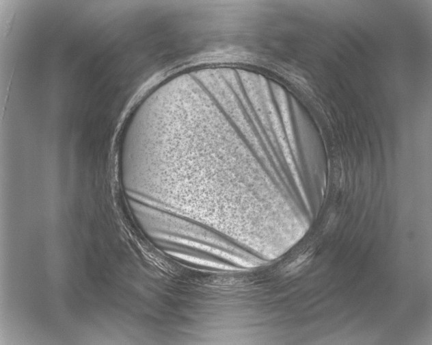 X0000051861366200507221846