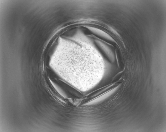 X0000051861368200507221846