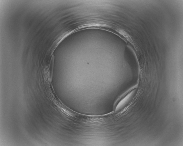 X0000051861369200507221846