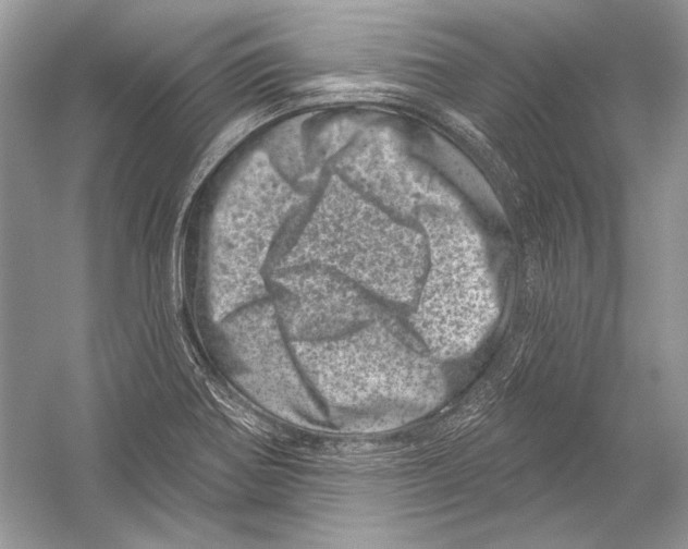 X0000051861370200507221846