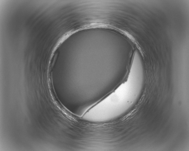 X0000051861373200507221846