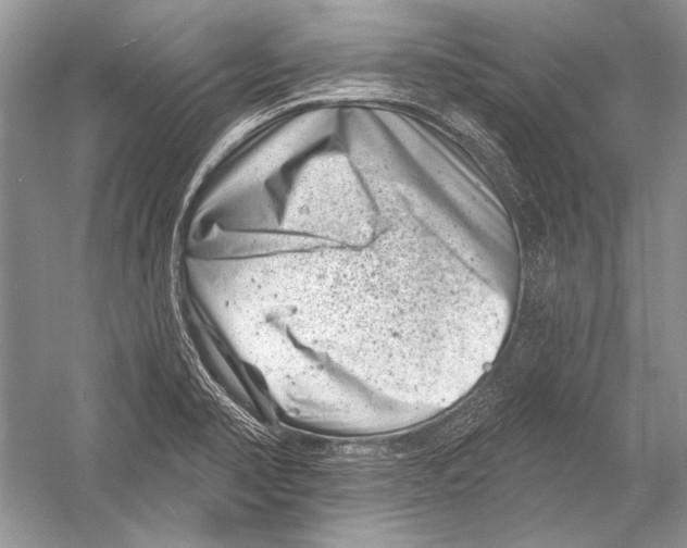 X0000051861374200507221846