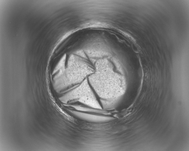 X0000051861375200507221846