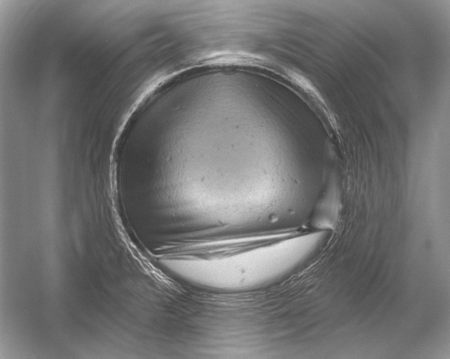 X0000051861376200507221846