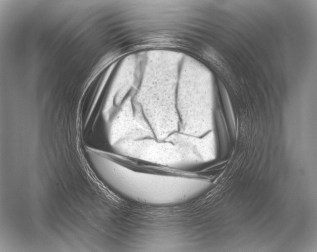 X0000051861378200507221845