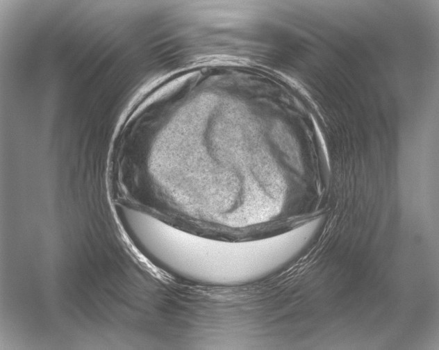 X0000051861379200507221845