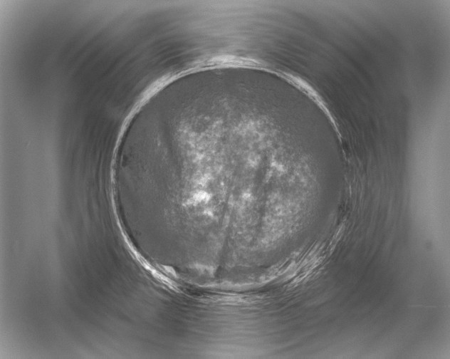 X0000051861381200507221845