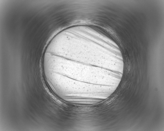 X0000051861382200507221845