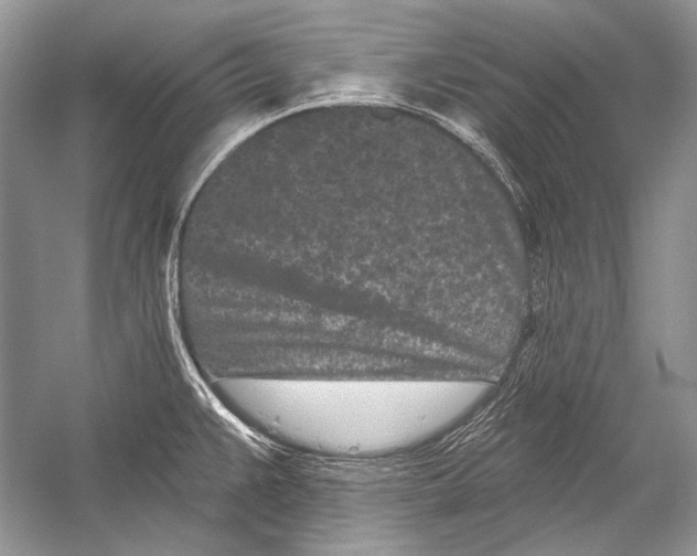 X0000051861383200507221845