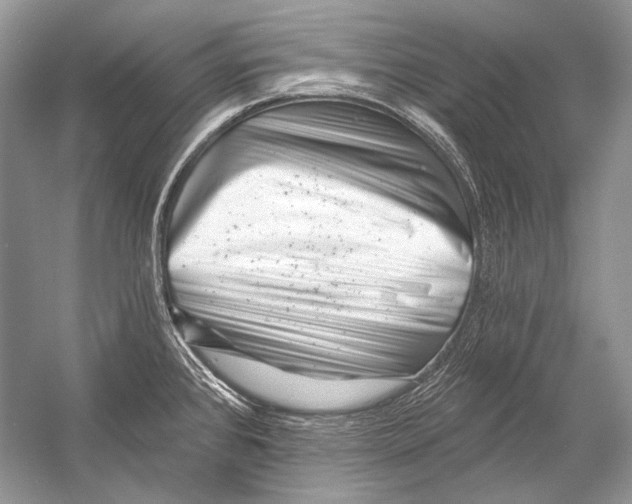 X0000051861384200507221845