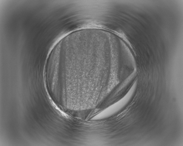 X0000051861387200507221845