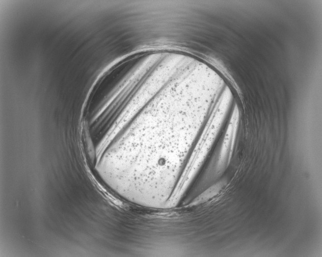 X0000051861388200507221845