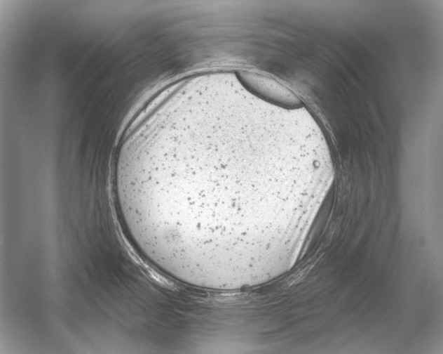 X0000051861390200507221845