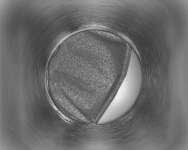 X0000051861391200507221845