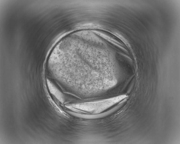 X0000051861392200507221845