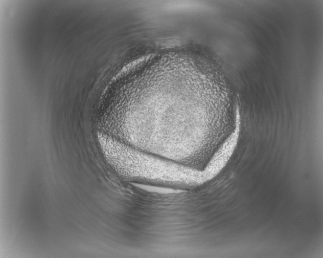 X0000051861393200507221844