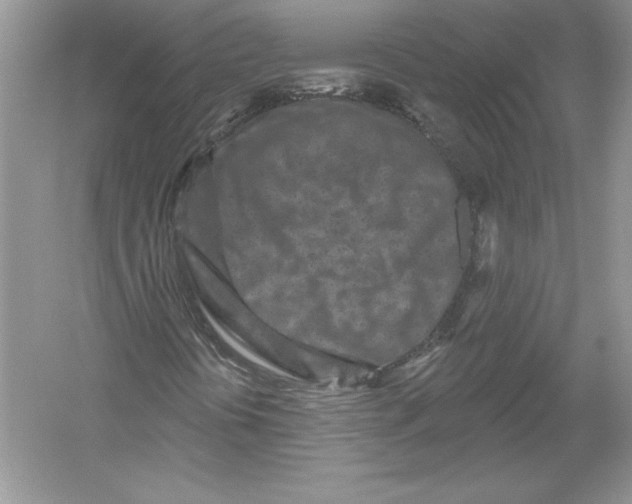 X0000051861394200507221844