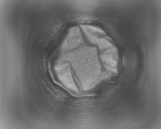 X0000051861396200507221844