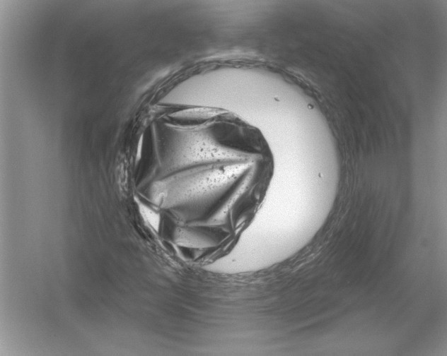 X0000051861398200507221845