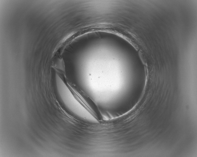 X0000051861402200507221845