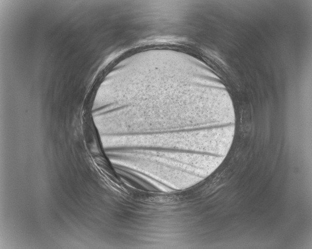 X0000051861404200507221845