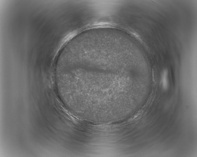 X0000051861405200507221845