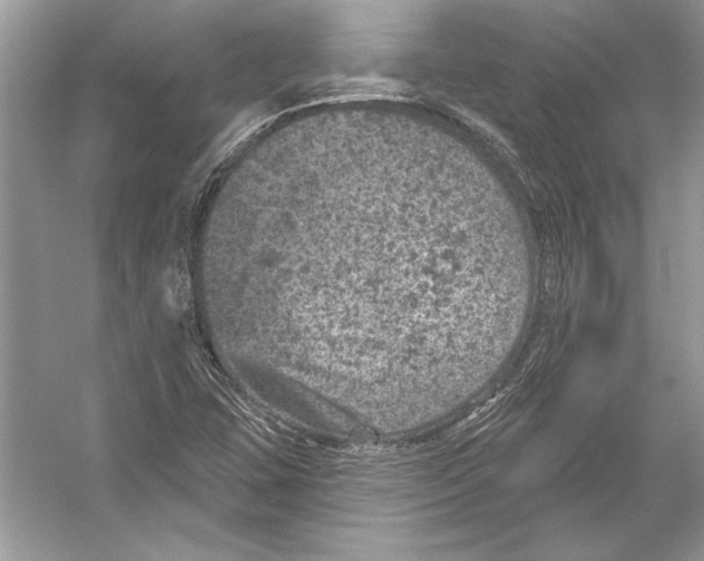 X0000051861407200507221845