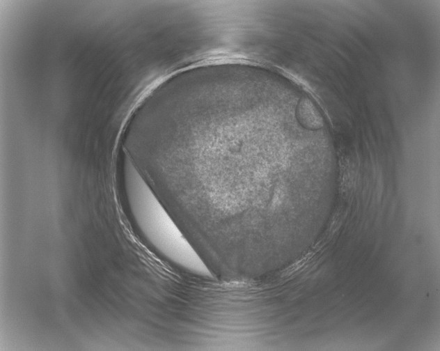 X0000051861415200507221845