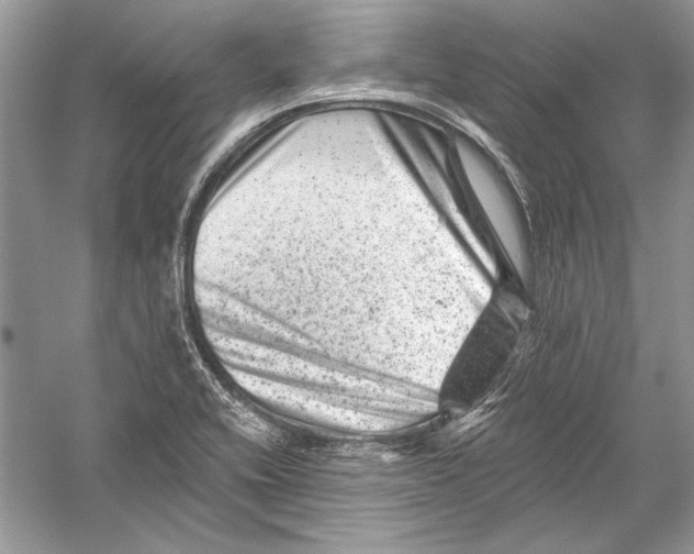 X0000051861416200507221845