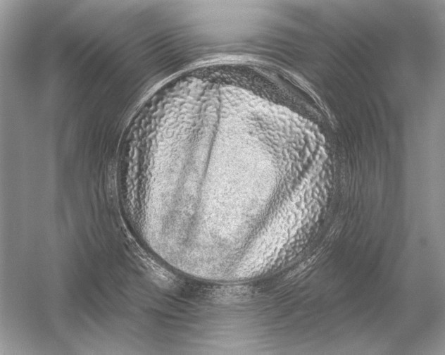 X0000051861417200507221845