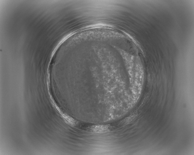 X0000051861418200507221845