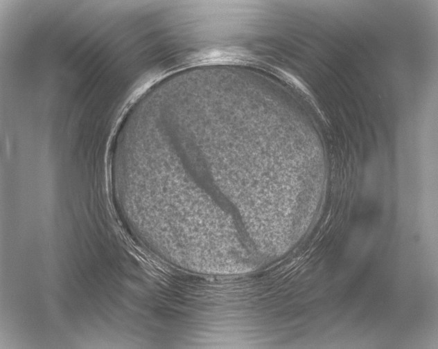 X0000051861419200507221845