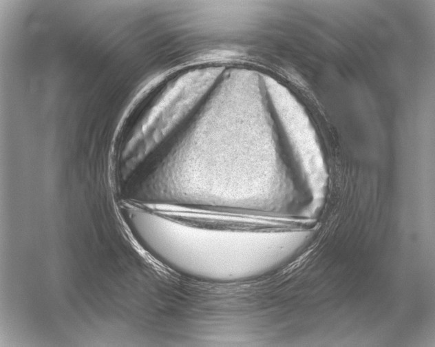 X0000051861421200507221845