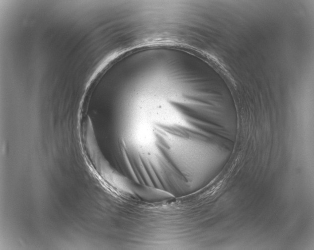 X0000051861422200507221845