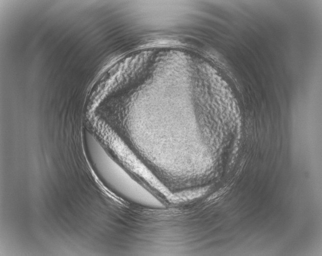 X0000051861425200507221845