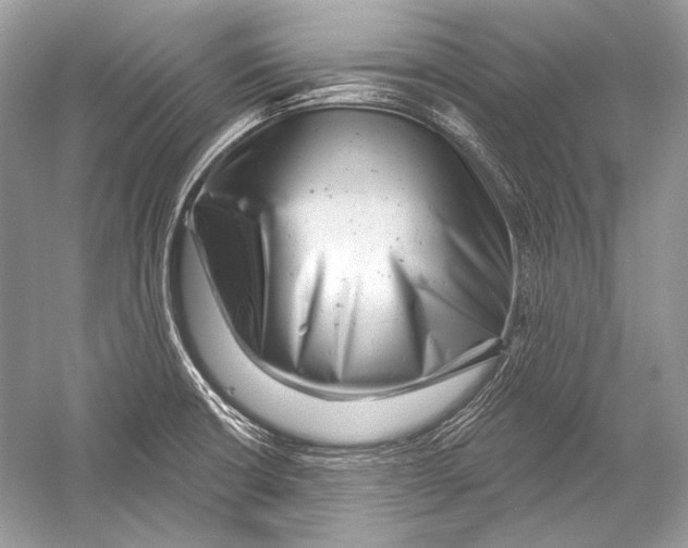 X0000051861426200507221845