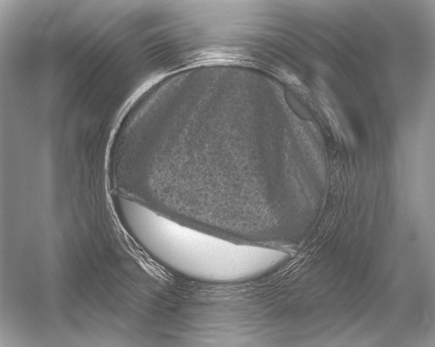 X0000051861427200507221845