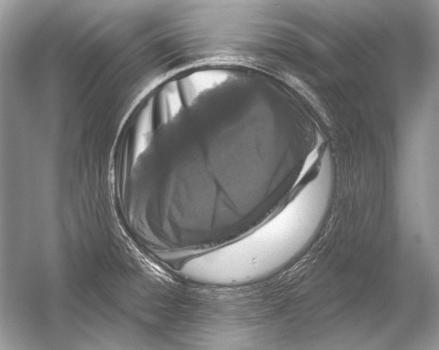 X0000051861428200507221845