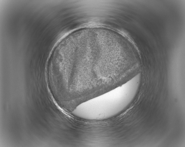 X0000051861429200507221845