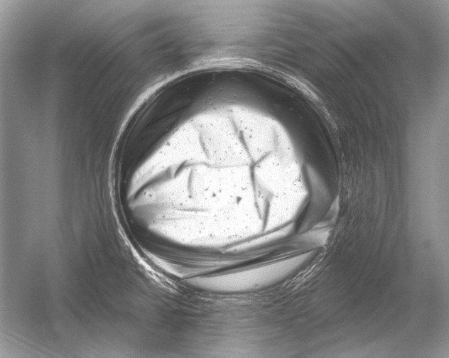 X0000051861430200507221845