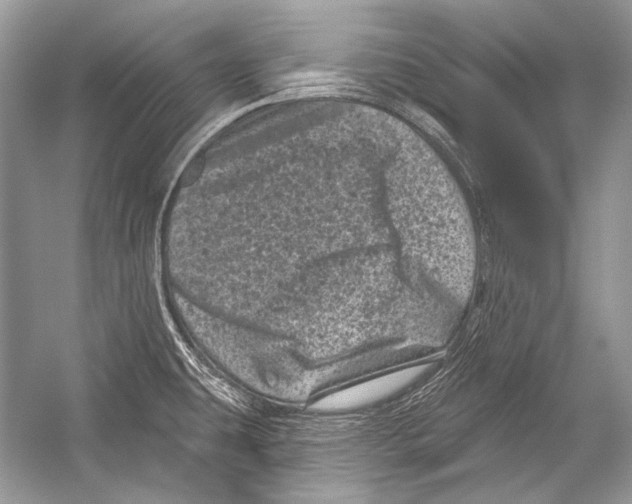 X0000051861431200507221845