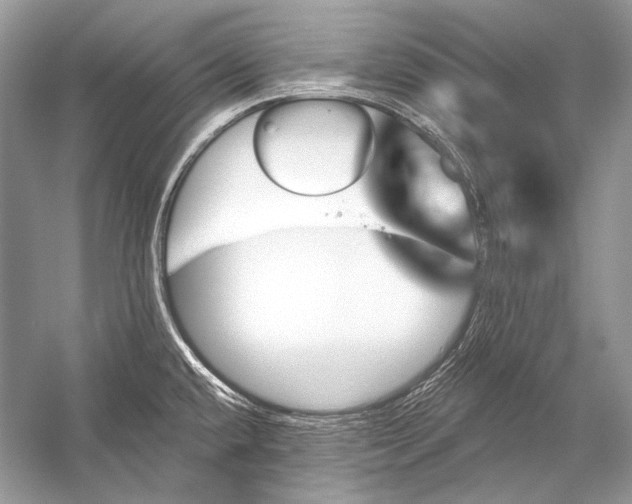 X0000051861432200507221845