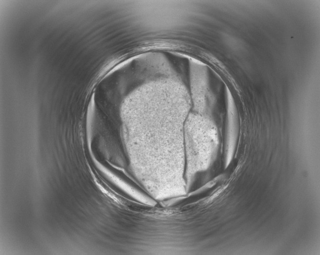 X0000051861433200507221845