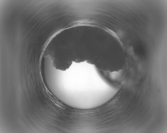 X0000051861435200507221845