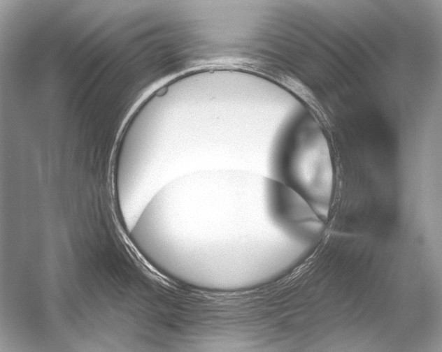 X0000051861436200507221845