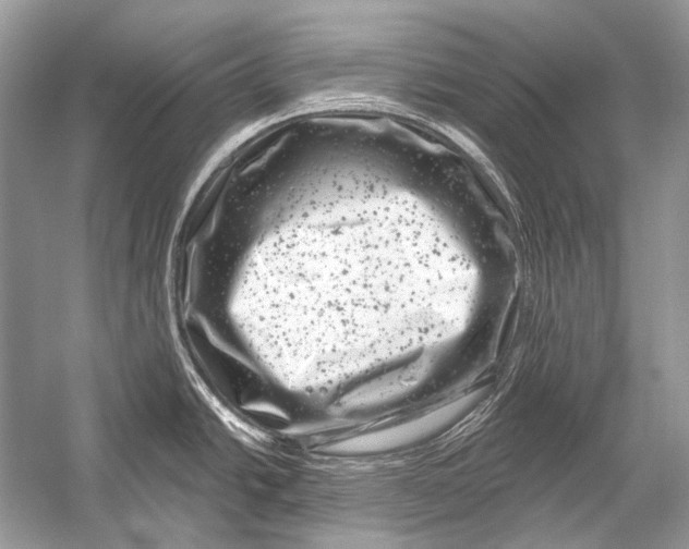 X0000051861438200507221845