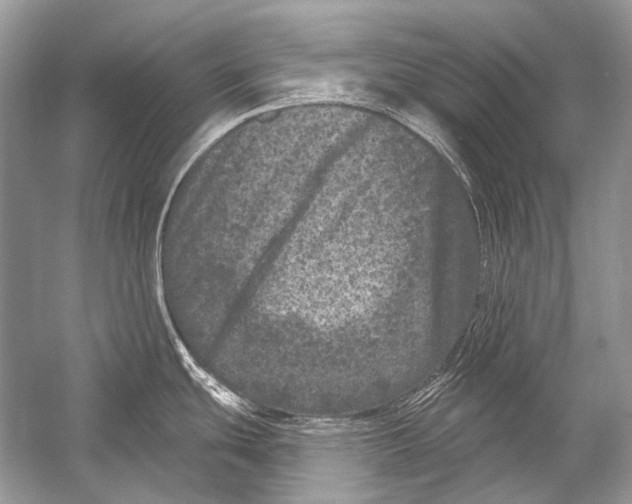 X0000051861439200507221845