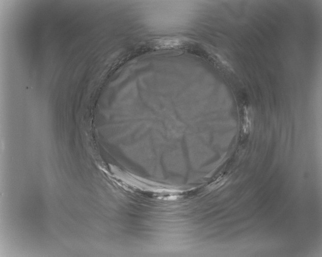 X0000051861441200507221844