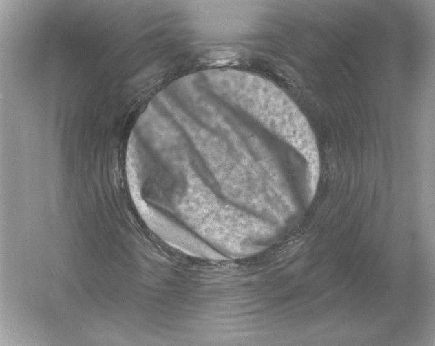 X0000051861442200507221844